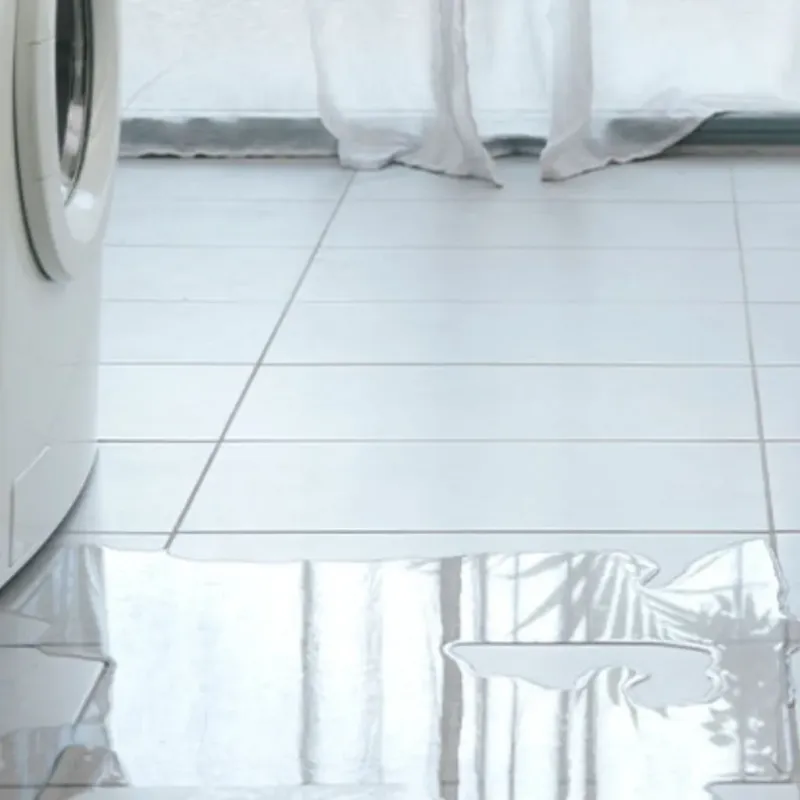Appliance Leak Cleanup in Loving, NM