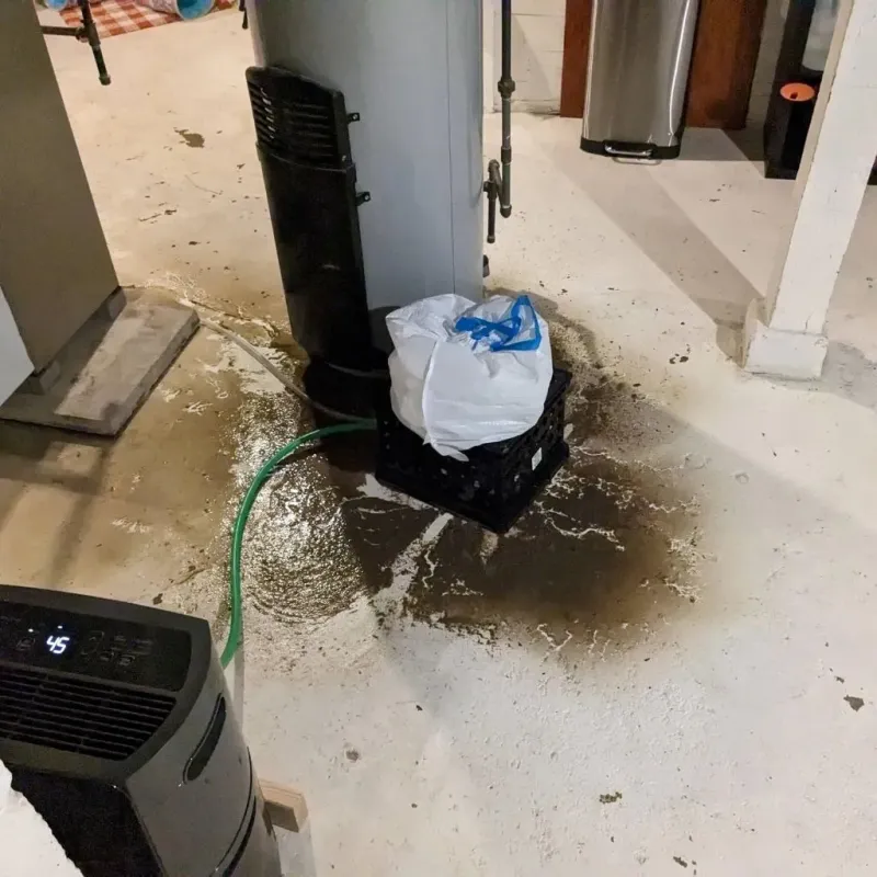 Sewage Backup Cleanup Service in Loving, NM
